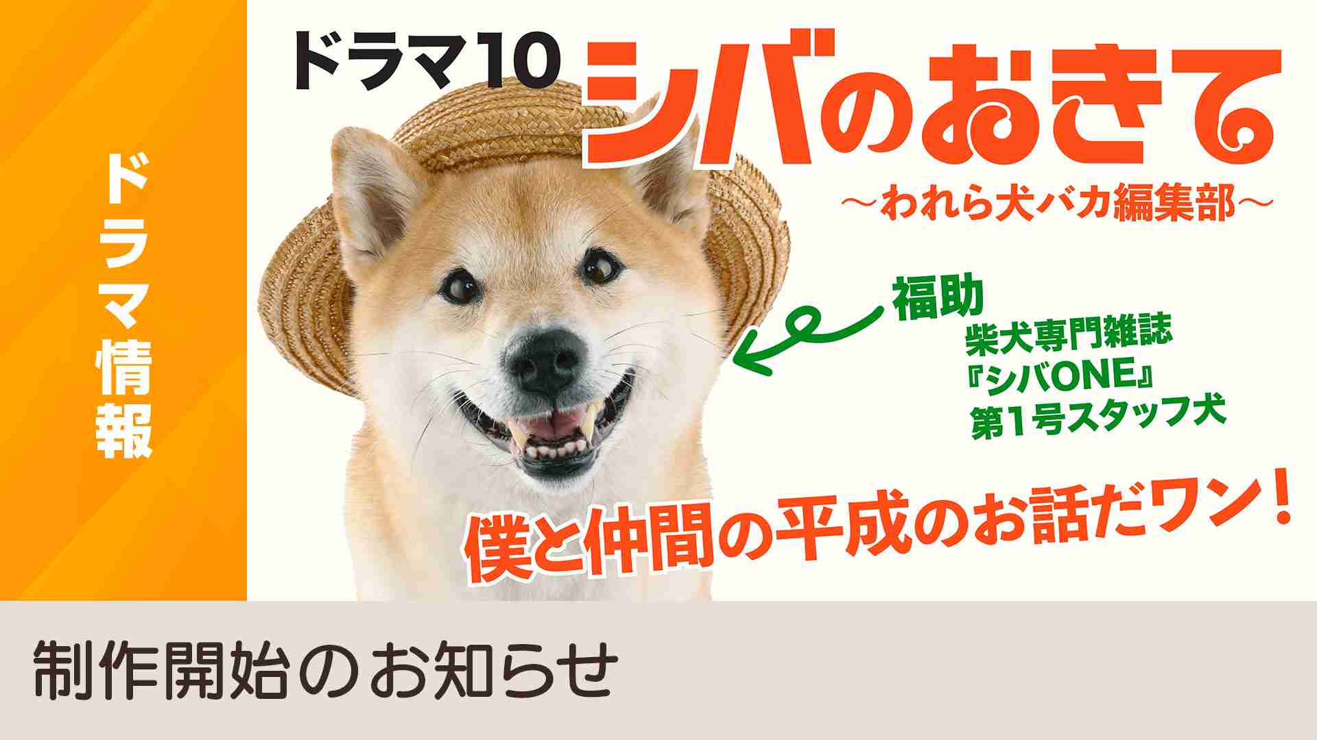 ドラマ１０「シバのおきて～われら犬バカ編集部～」制作開始のお知らせ - NHK