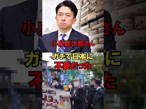 【悲報】小泉進次郎さんガチで日本に不要だった…#自民党 #選挙 #石破 #高市 #小泉 #ゆっくり解説