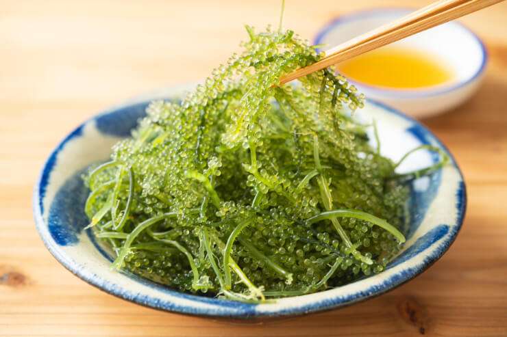 食感が好きな食べ物