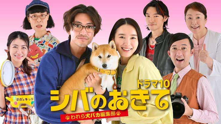 【実況・感想】【ドラマ10】シバのおきて〜われら犬バカ編集部〜（1）