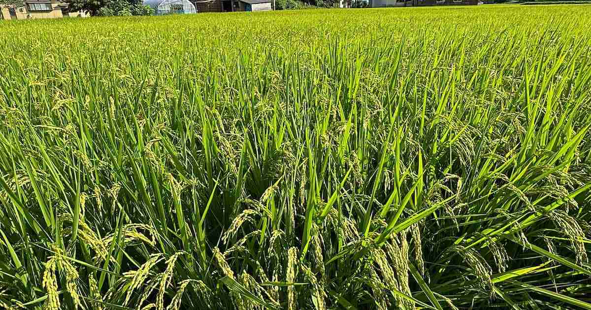 外国に買われた日本の農地　昨年だけでも東京ドーム37個分　前年の2倍　中国が最多 - 産経ニュース