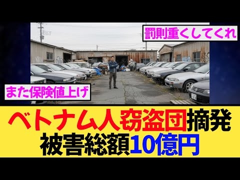 ベトナム人窃盗団が日本中の車を盗みまくり！495台が奪われても“誰も責任を取らない”