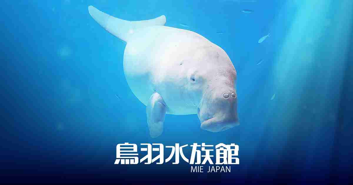 カスタマーハラスメントに対する基本方針 | 鳥羽水族館 公式サイト