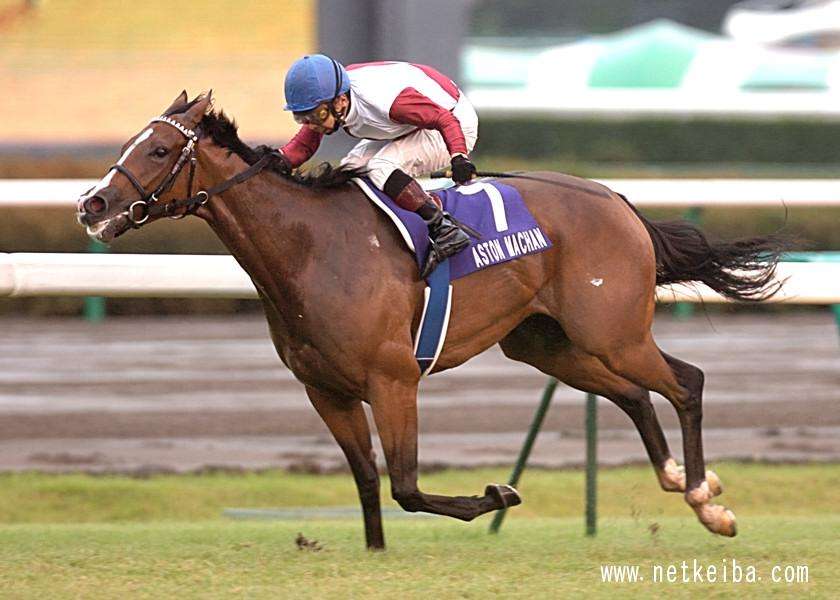 アストンマーチャン (Aston Machan) | 競走馬データ - netkeiba