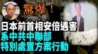 【袁红冰热点】惊爆！ 刺杀安倍系中共中联部特别处置方案行动(视频)  - 日本 - 前首相 - 遇刺 - 刘建超 - 台湾 - 中共秘密党员 - 新闻 日本 - 看中国新闻网 - 海外华人 历史秘闻  内幕 - 李静汝 -看中国网 - (移动版) 