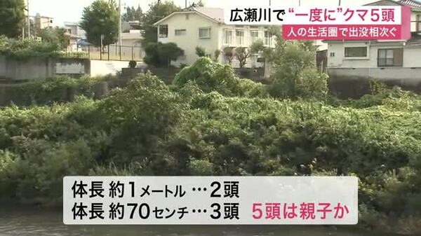 広瀬川河川敷で“一度に”クマ５頭　ＪＲ仙台駅から約３キロ｜FNNプライムオンライン