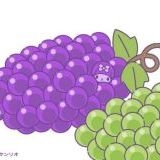 >>41本当それだよね‼︎中居正広の引退のトピは3万コメント超えて、田中圭の不倫のト... | ガールズちゃんねる - Girls Channel -