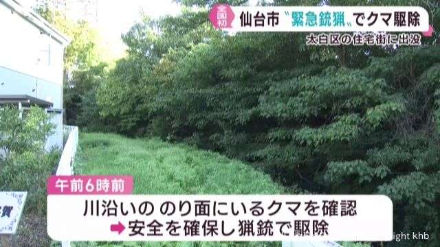 全国初の緊急銃猟　仙台・太白区の住宅街に出没したクマを猟銃で駆除 | khb東日本放送