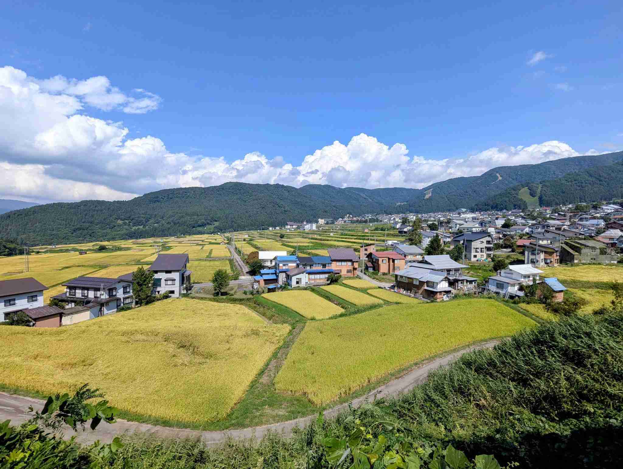 【田舎民】人口何人？