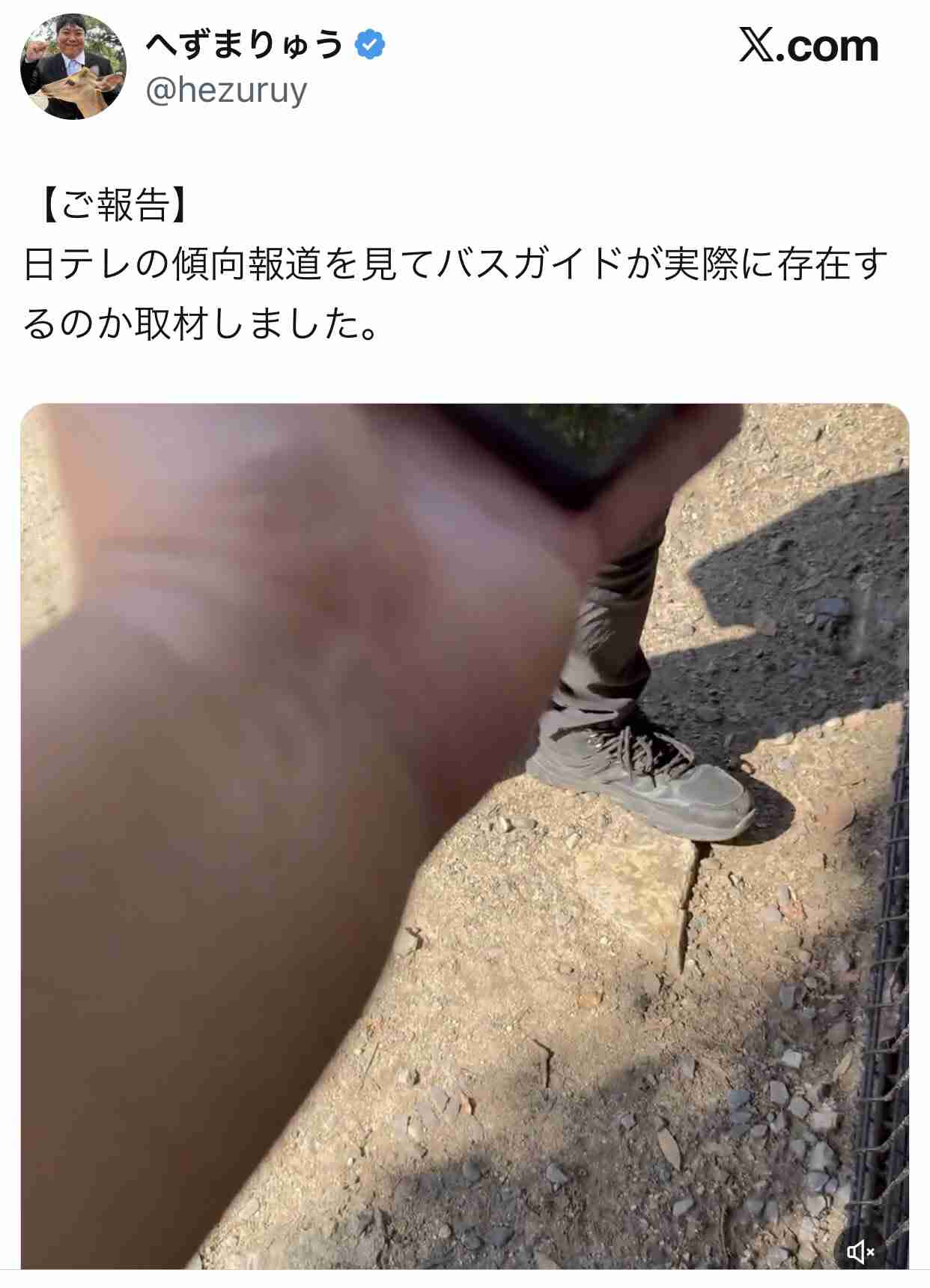 奈良公園のシカめぐる報道で日テレが声明「中傷、迷惑行為は慎んで」