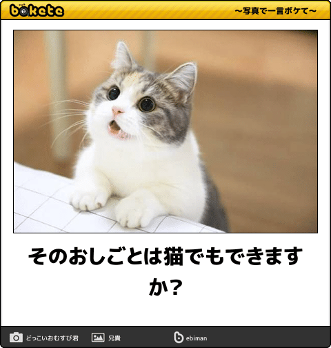 boketeで1000コメ以上を目指そう〜 part14〜