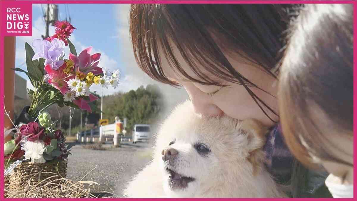 「あの日までのお母さんも死んだ」“たった15分の横着”が奪った夫と日常 1枚800kgの鉄板落下事故 被害者家族が訴え「被害者にも加害者にもさせないために」 | RCC NEWS | 広島ニュース | RCC中国放送