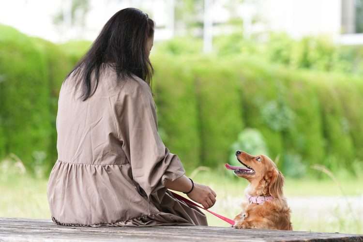 《ステージ4の大腸がんで余命3か月宣告》松田聖子のものまねタレント・Seikoが明かした“がん治療の苦しみ”と“生きる希望”、そして“心残り”