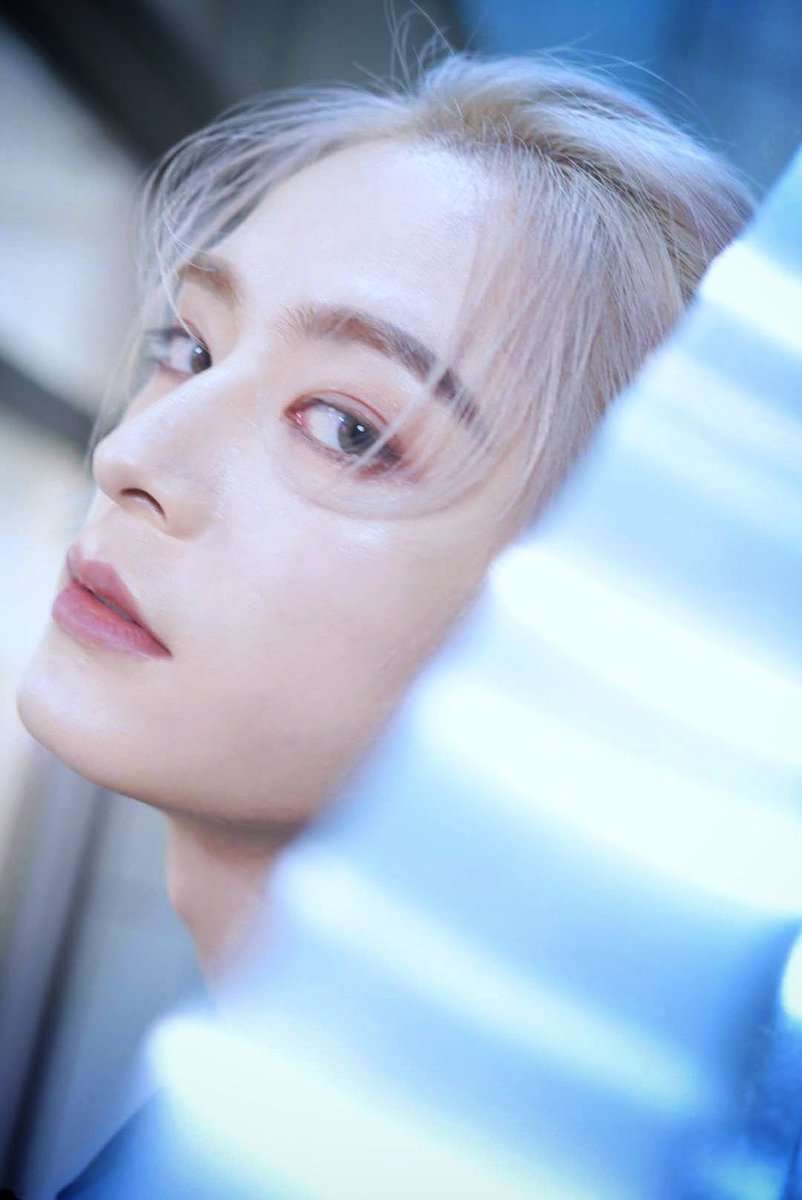 『THE 整った顔』だと思う有名人