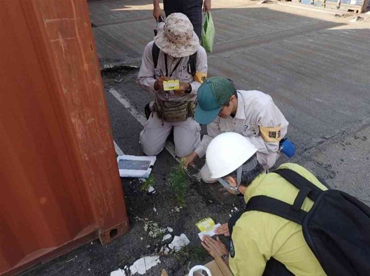 強毒ヒアリ、中国からの流入が９割以上　物流高速化やコンテナ老朽化…「水際阻止が重要」　国立環境研究所の坂本洋典主任研究員（産経新聞） - Yahoo!ニュース