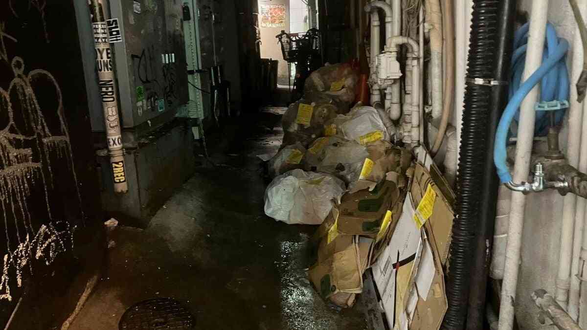 ｢絶対増えてるでしょ…｣｢子猫サイズになってる｣ 歌舞伎町の《大量ネズミ》 新宿区は1229万円かけて対策も…