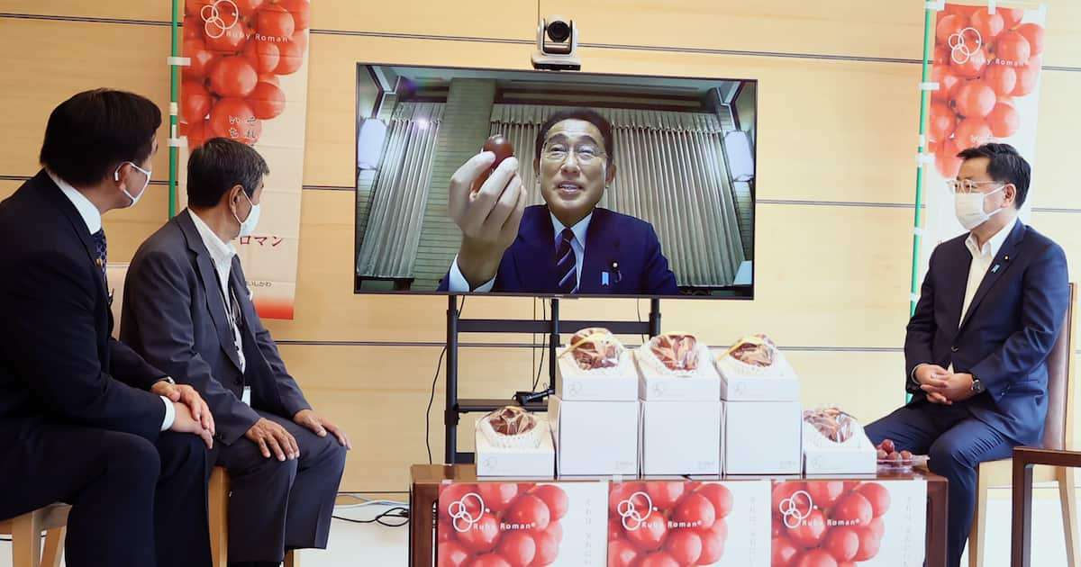 韓国流出の高級ブドウ「ルビーロマン」、石川県「徹底的に戦う」　商標登録で巻き返しへ - 産経ニュース