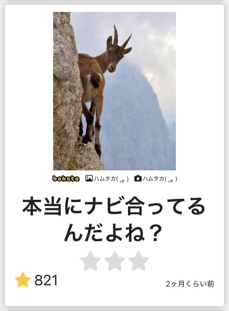 boketeで1000コメ以上を目指そう〜 part14〜