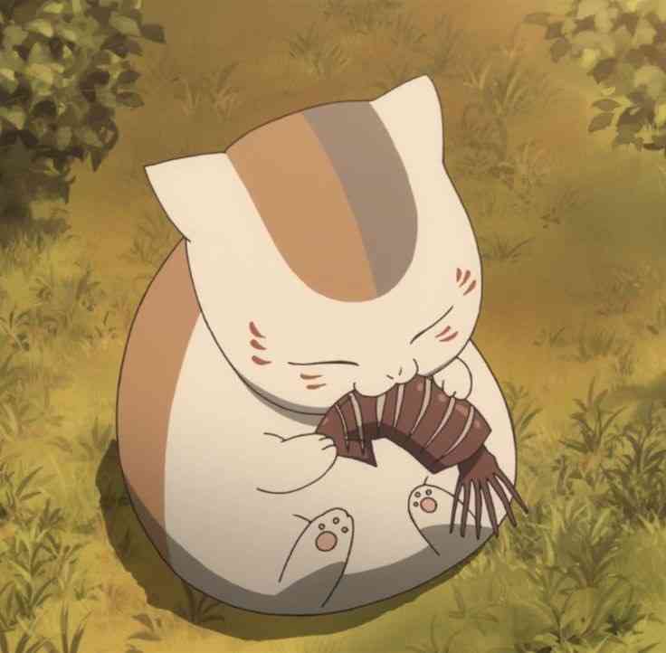 【夏目友人帳】色んなニャンコ先生が見たい