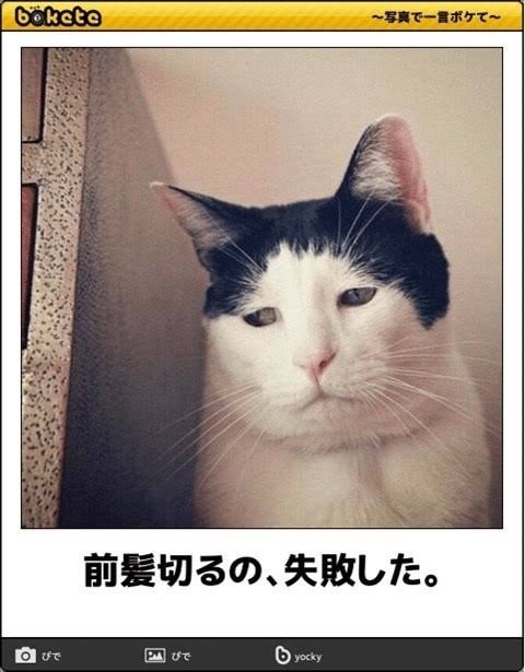 boketeで1000コメ以上を目指そう〜 part14〜