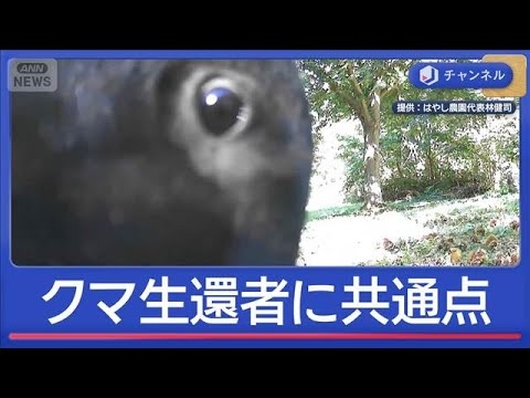 クマ被害者語る“生死分けた行動”は？【スーパーJチャンネル】(2025年10月22日)