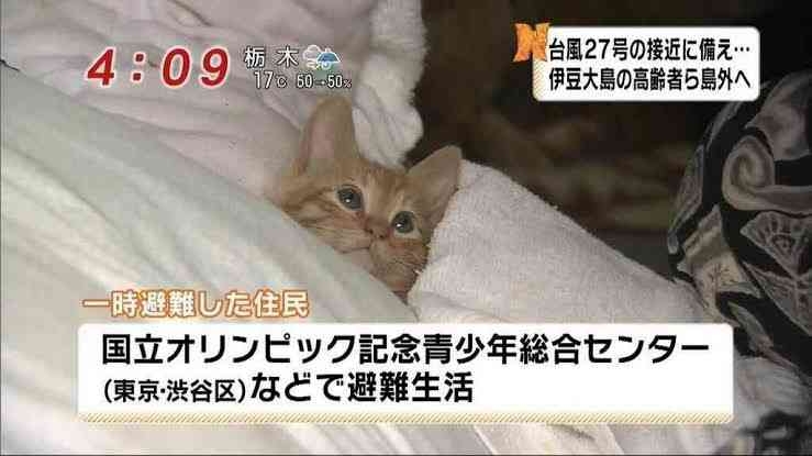 落ち着く場所 落ち着く行動
