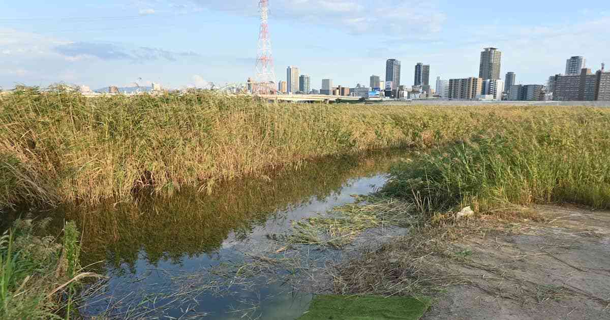 ＜独自＞男子高生に卑劣「スパーリング」と称し殴る　下着で川に入るよう命令　発達障害も - 産経ニュース