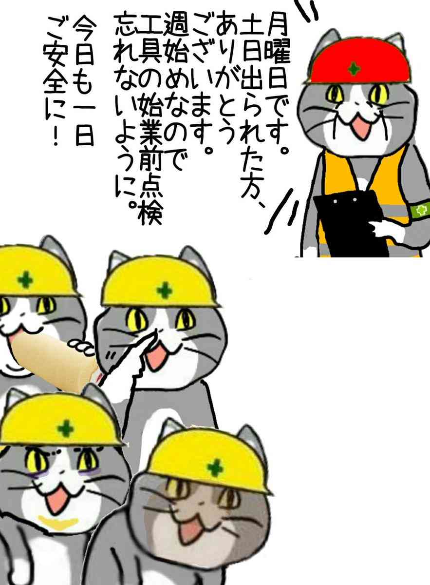 現場猫を見て癒されたい!Part9