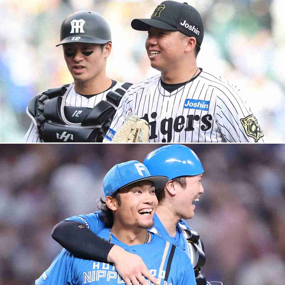 スポニチ制定「最優秀バッテリー賞」セは阪神・村上頌樹―坂本誠志郎、パは日本ハム・伊藤大海―伏見寅威（スポニチアネックス） - Yahoo!ニュース