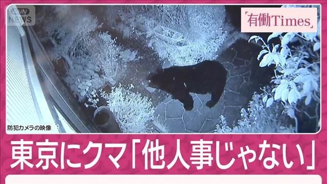 【独自】“東京クマ”2夜連続で激撮「75年生きて初めて」冬眠しないクマは年越しか- 名古屋テレビ【メ~テレ】