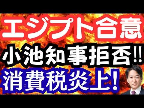 エジプト移民?小池知事は答弁拒否!消費税不払い。火葬料金爆上がり。東京都に異変で炎上中!