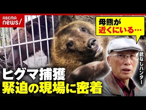 【丸腰ハンター】クマ被害が緊急事態「ヒグマと共存は無理だ」「母熊が近くにいる…」緊迫する調査現場のリアル｜ABEMA的ニュースショー