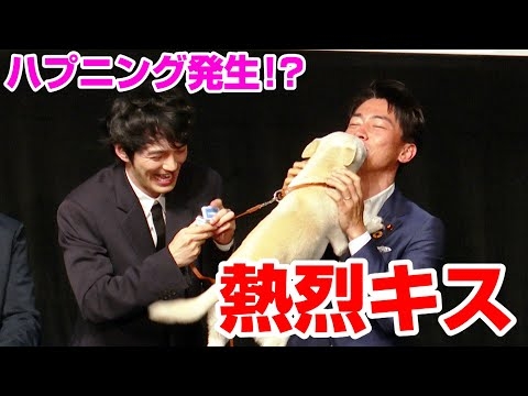 小泉進次郎、わんぱく犬に熱烈キスされるハプニング発生 林遣都の挨拶中も大暴れ 映画『犬部!』獣医学部学生ティーチインイベント