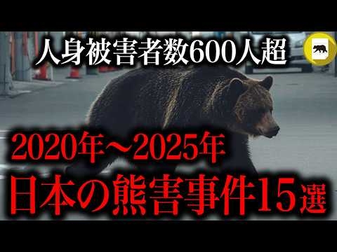 【熊事件 最新まとめ】被害者数600人超…。2020年以降の日本の熊害事件まとめ【ヒグマ・ツキノワグマ】