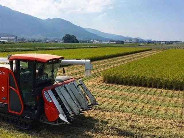 JAでも卸売業者のせいでもない「コメ価格高騰」の真犯人が判明…現役農家が明かした「コメが消えた本当の理由」