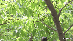 TPOは大事ですよね