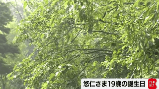 TPOは大事ですよね