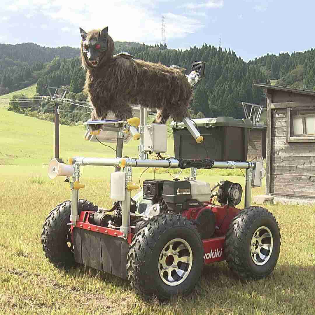 「クマに一番効果がある」怖すぎる… “モンスターウルフ”がヒグマを追い払う瞬間 音と光で野生動物を撃退