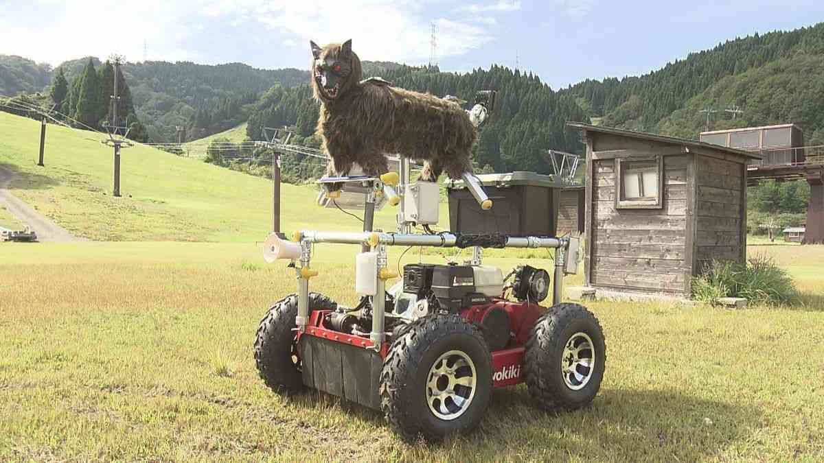 シカやクマに鋭い目光らせる　獣害対策オオカミ型ロボットが自動走行