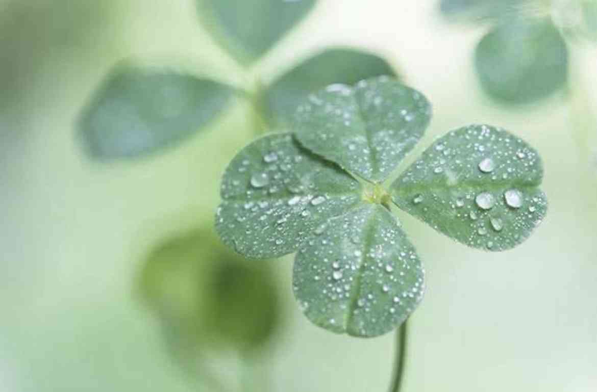 流産を経験されたかたお話しませんか？Part7