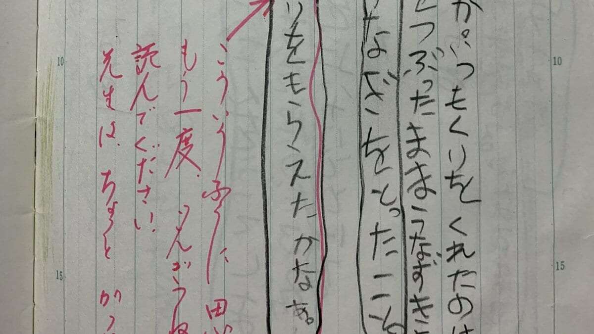 最低な「ごんぎつね」の感想文? 小学生の回答に先生から“厳しい指摘”「国語嫌いになっちゃう指導の仕方だ」とSNS上で批判も… | 集英社オンライン | ニュースを本気で噛み砕け
