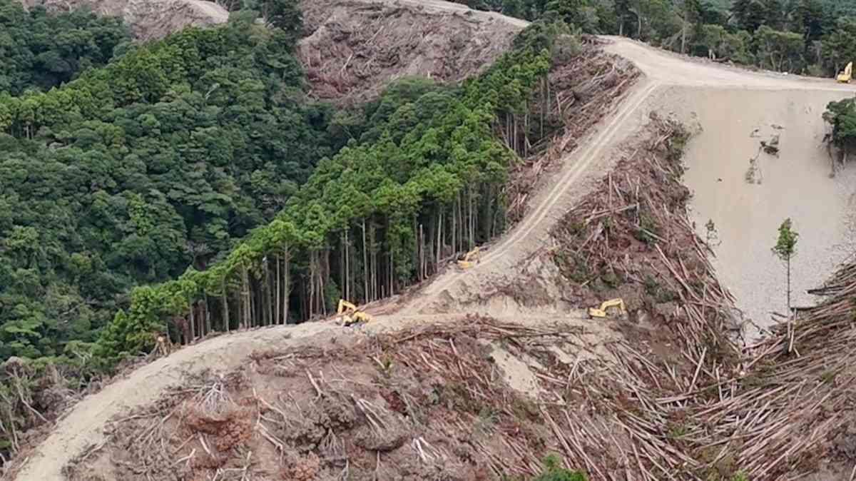 鴨川メガソーラー、千葉県が一時工事停止を事業者に要請　政府には森林法の規制強化求める（産経新聞） - Yahoo!ニュース