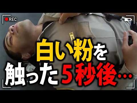 フェンタニルにうっかり触った警官が突如意識不明に…相棒が懸命に救助！【アメリカ警察密着の現場映像】