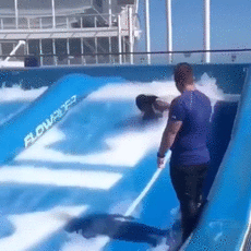 このGIFで笑ったことある人はプラス