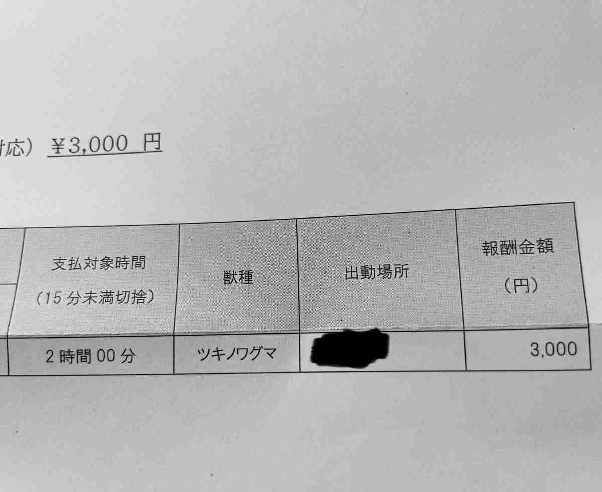 クマを駆除したハンターの報酬・時給1500円に非難の声　現役ハンターは「この待遇では無理」と語る