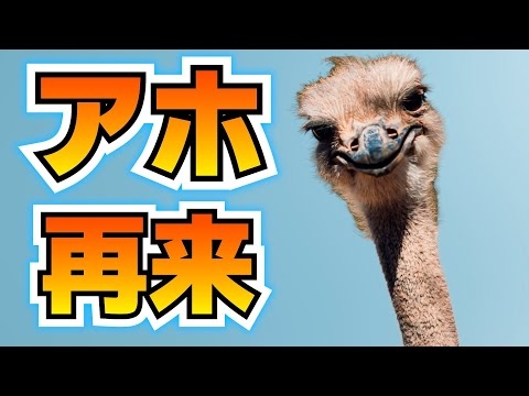 ダチョウは本当に奇跡のアホなのか？【バチクソニュース】