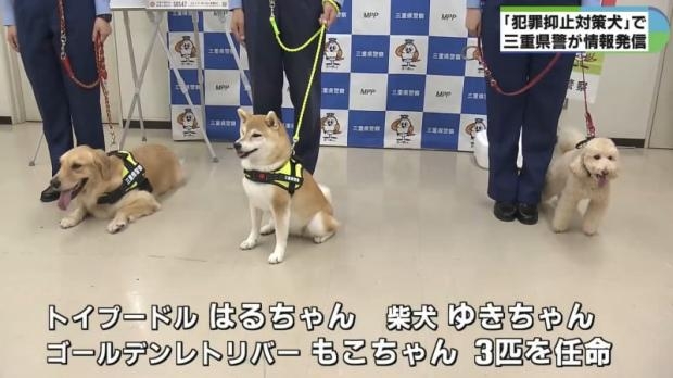 「犯罪抑止対策犬」にゴールデンレトリバー、柴犬、トイプードルの三匹を任命　三重県警
