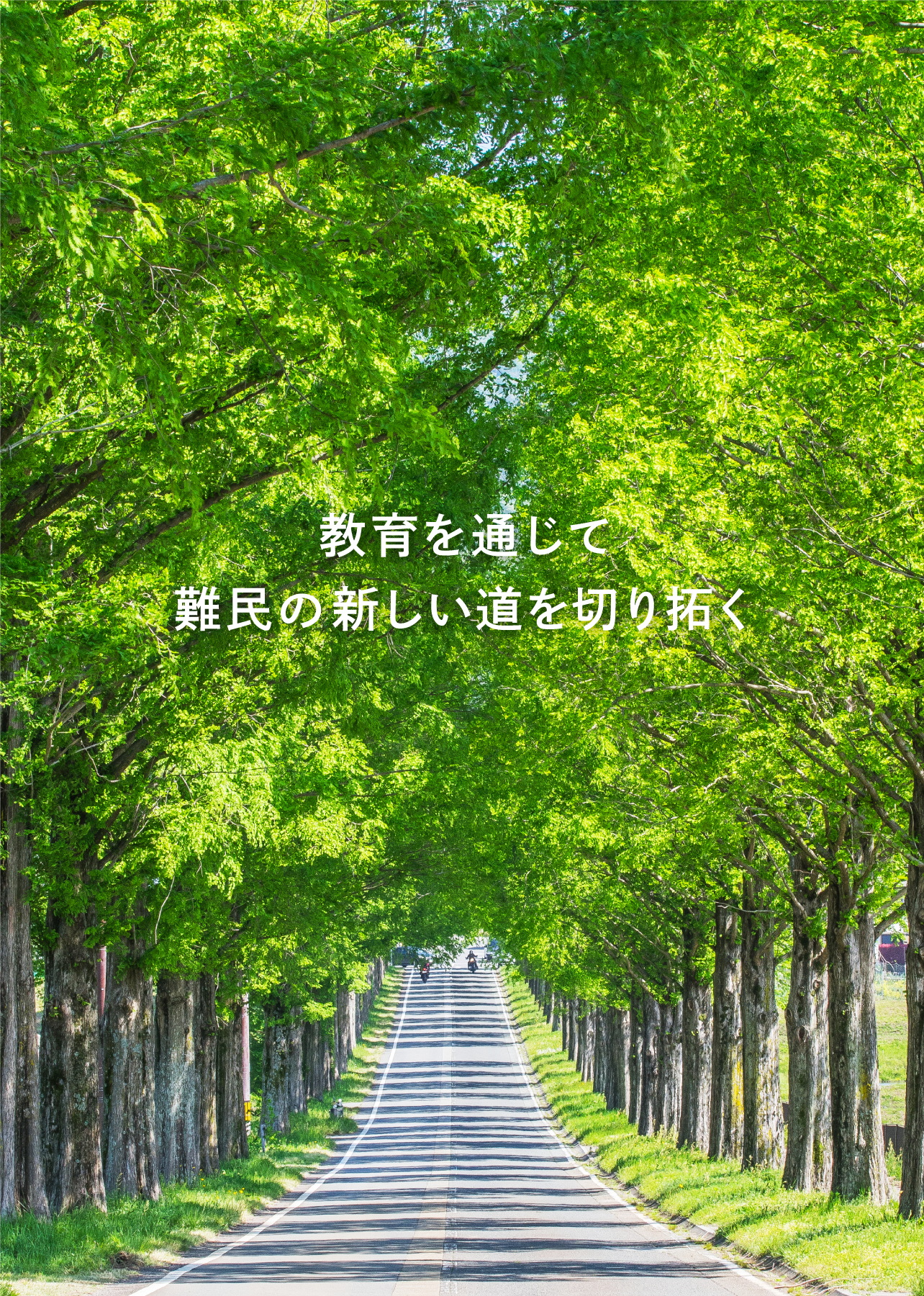TOP - パスウェイズ・ジャパン