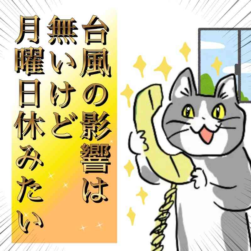 現場猫を見て癒されたい!Part9