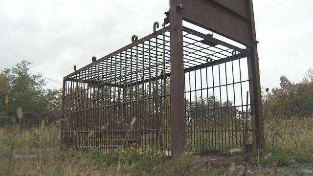 【独自】後志・積丹町で猟友会が“出動拒否”　クマ出没相次ぐ中、町議とのトラブルで先月から HTB北海道ニュース